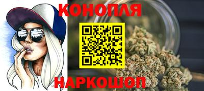 гидра Заводоуковск